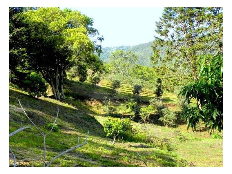 168 Watson Lane, Maleny QLD 4552