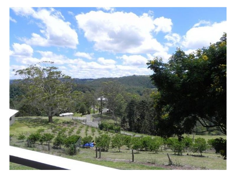 168 Watson Lane, Maleny QLD 4552