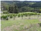 168 Watson Lane, Maleny QLD 4552