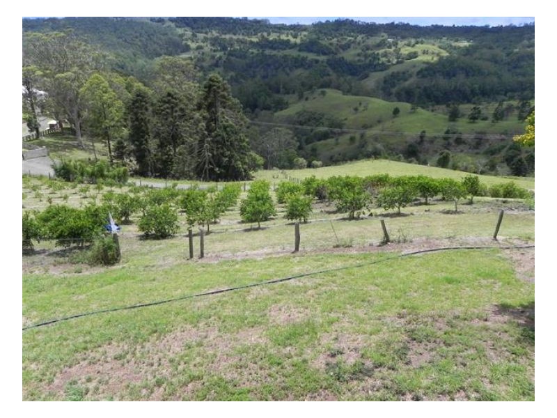 168 Watson Lane, Maleny QLD 4552