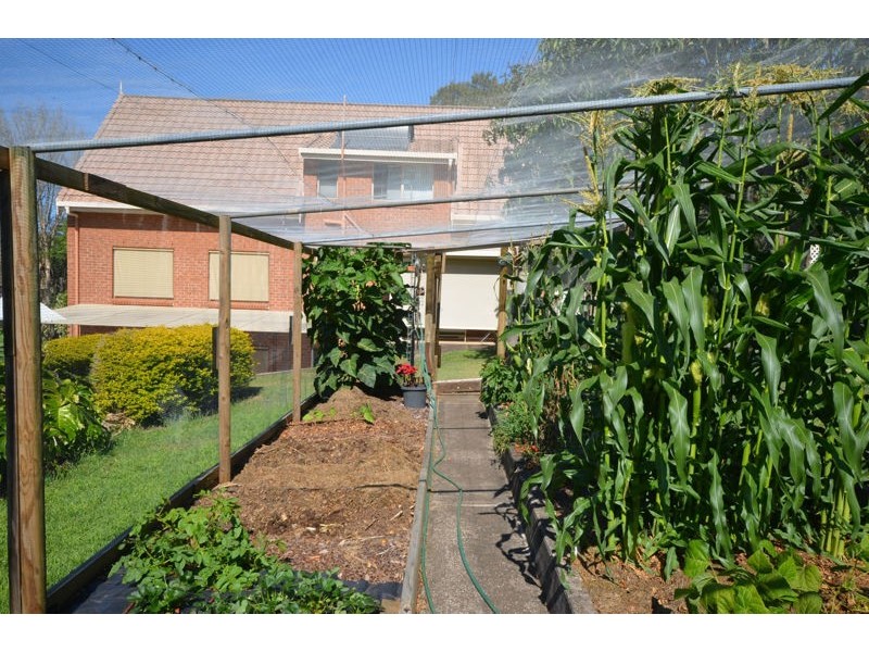 18 Treehaven Way, Maleny QLD 4552