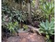 Maleny QLD 4552