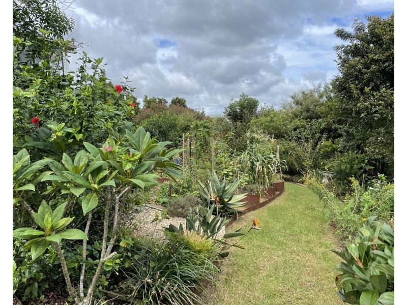 Maleny QLD 4552