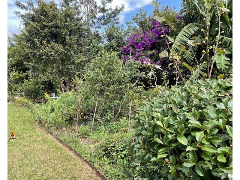 Maleny QLD 4552