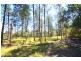 239 Cookes Road, Conondale QLD 4552