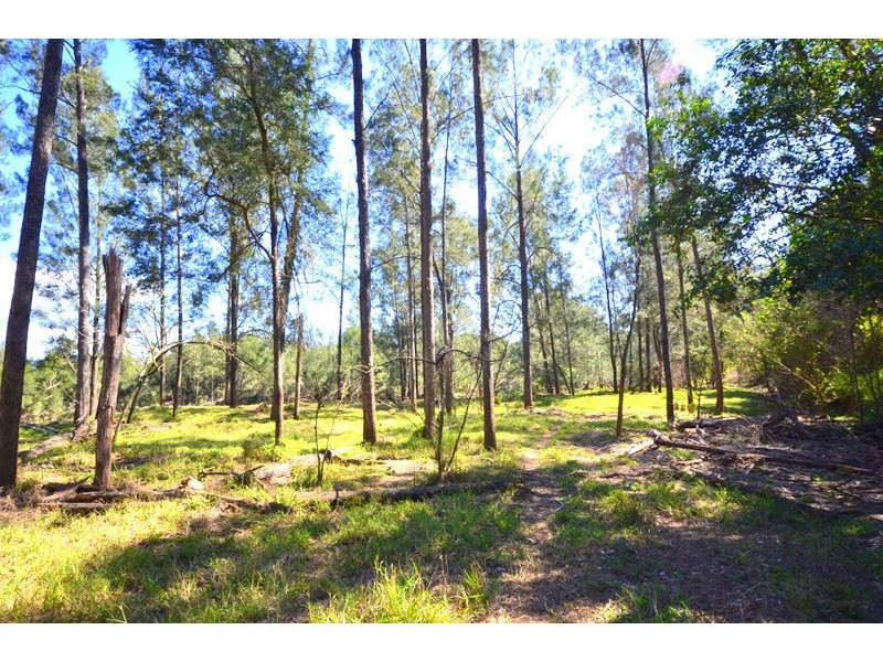 239 Cookes Road, Conondale QLD 4552
