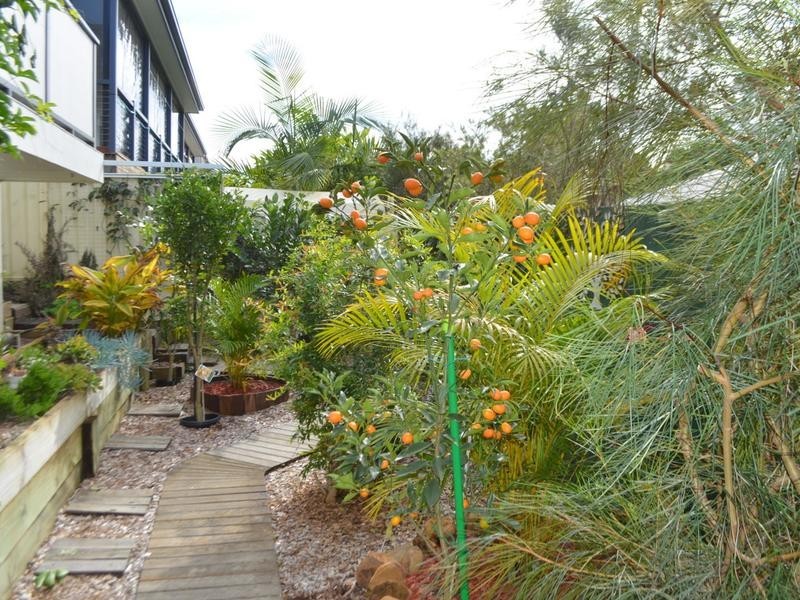 35/23 Macadamia Drive, Maleny QLD 4552