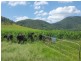 Lot 140 Cookes Road, Conondale QLD 4552