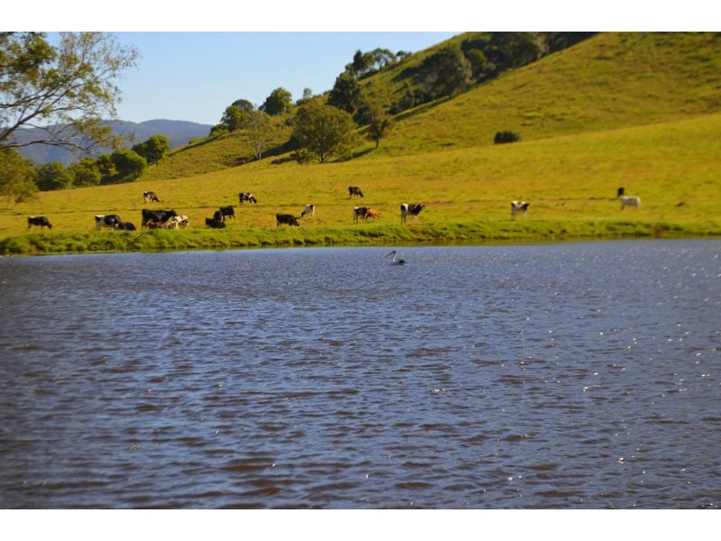 Lot 140 Cookes Road, Conondale QLD 4552