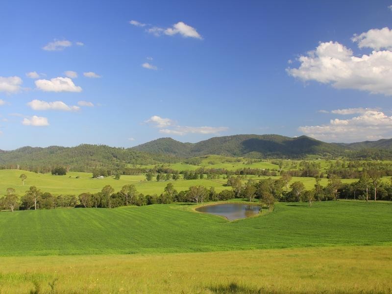 Lot 140 Cookes Road, Conondale QLD 4552