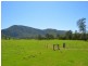 Lot 140 Cookes Road, Conondale QLD 4552
