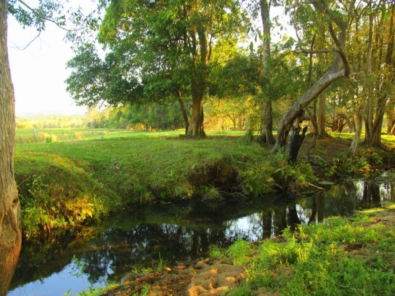 Lot 140 Cookes Road, Conondale QLD 4552