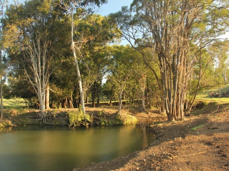 Lot 140 Cookes Road, Conondale QLD 4552