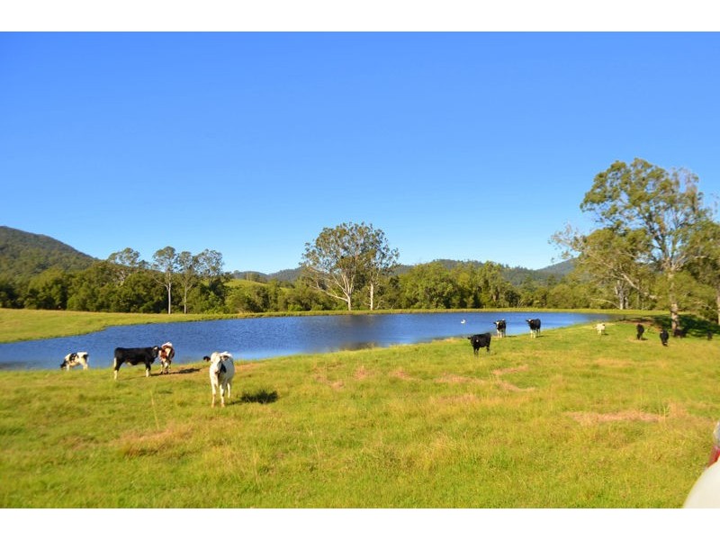 Lot 140 Cookes Road, Conondale QLD 4552