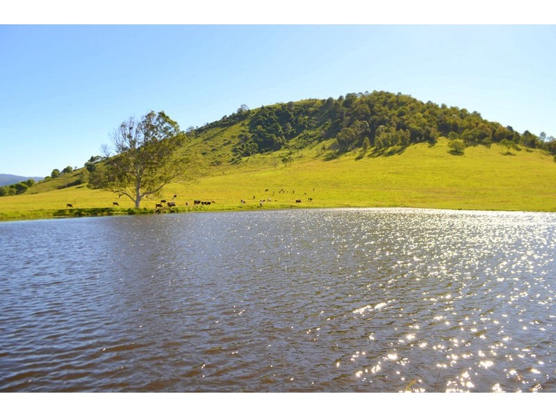 Lot 140 Cookes Road, Conondale QLD 4552