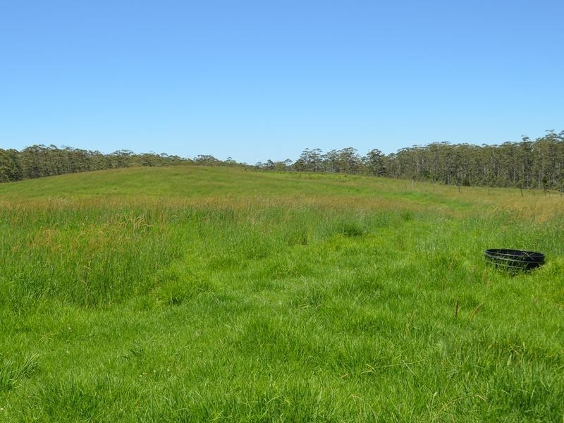 Lot 1 Willett Road, Bellthorpe QLD 4514