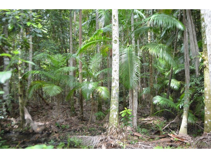 Lot 1 Willett Road, Bellthorpe QLD 4514