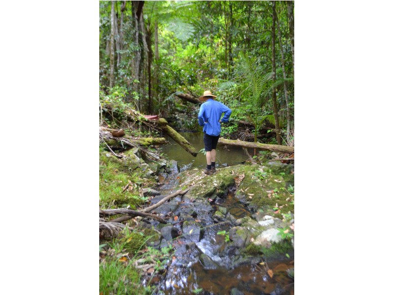 Lot 1 Willett Road, Bellthorpe QLD 4514