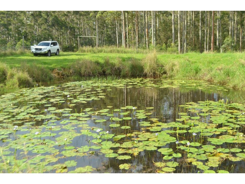 Lot 1 Willett Road, Bellthorpe QLD 4514