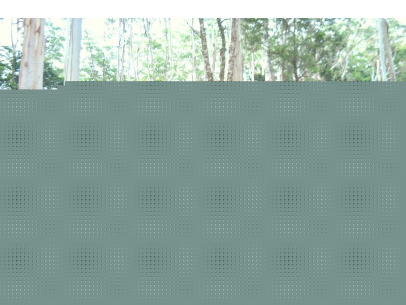 Lot 1 Willett Road, Bellthorpe QLD 4514