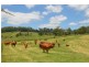 Lot 1 Willett Road, Bellthorpe QLD 4514