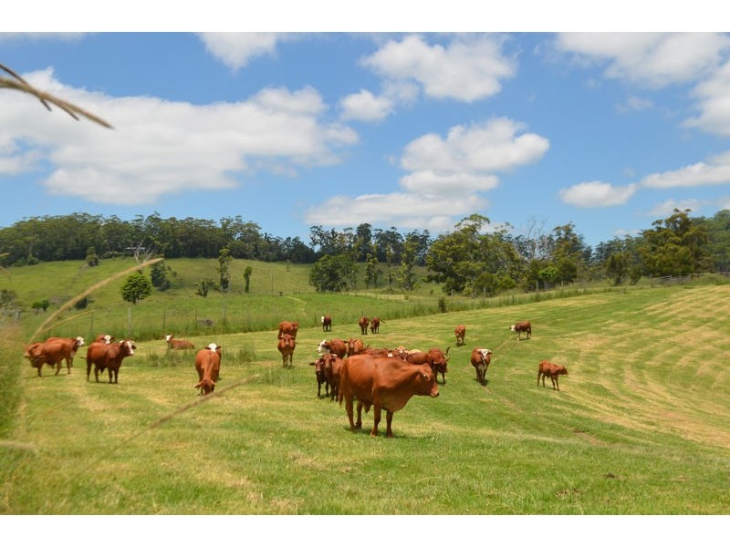 Lot 1 Willett Road, Bellthorpe QLD 4514