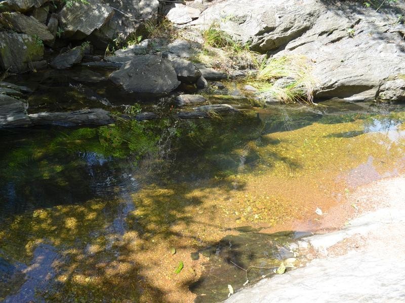 561 Clear Mountain Road, Clear Mountain QLD 4500