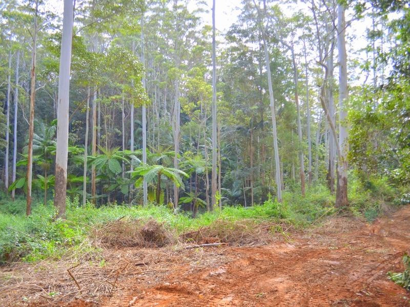 Lot 1 Willett Road, Bellthorpe QLD 4514
