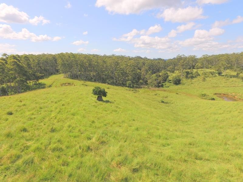 Lot 1 Willett Road, Bellthorpe QLD 4514