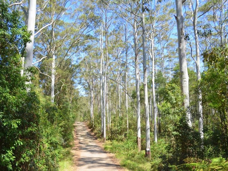 Lot 1 Willett Road, Bellthorpe QLD 4514