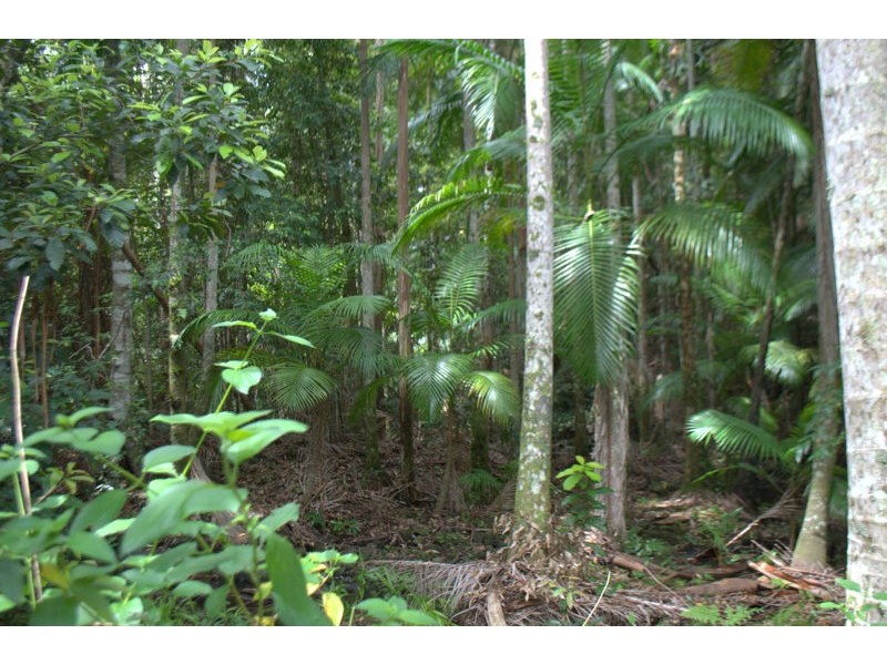 Lot 1 Willett Road, Bellthorpe QLD 4514