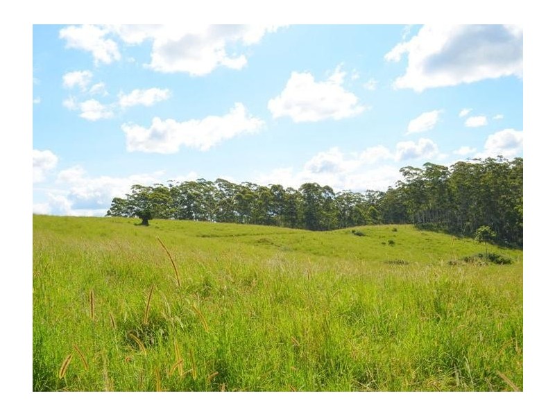 Lot 2 Willett Road, Bellthorpe QLD 4514