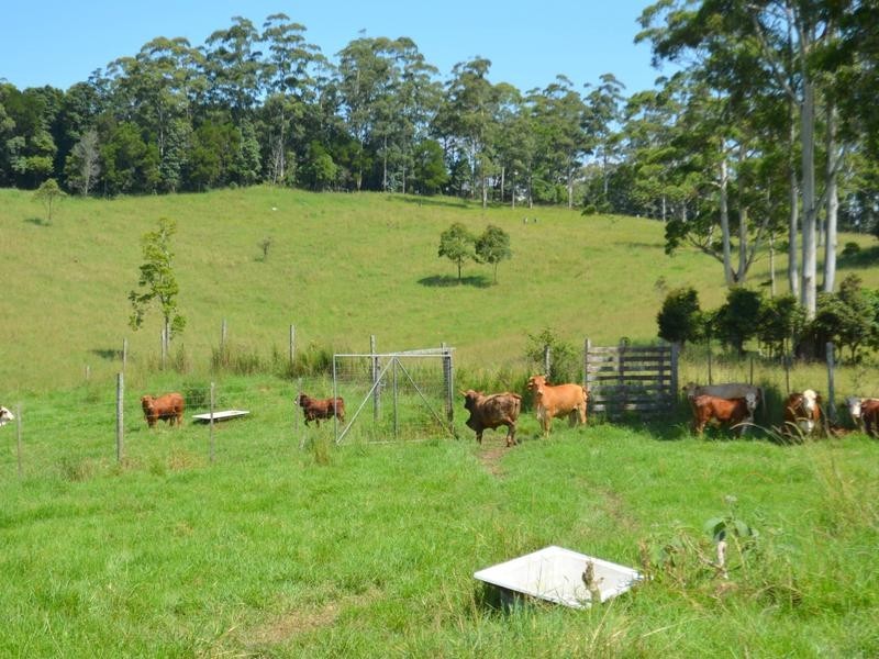 Lot 2 Willett Road, Bellthorpe QLD 4514