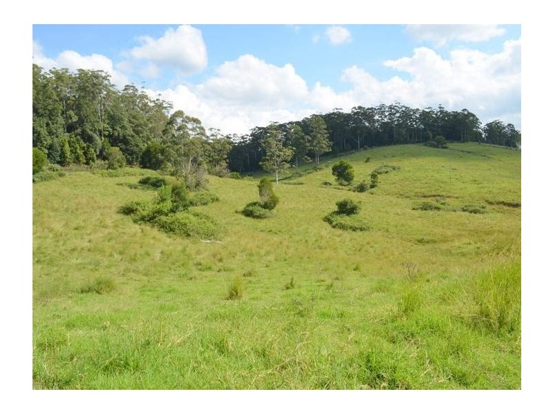 Lot 2 Willett Road, Bellthorpe QLD 4514