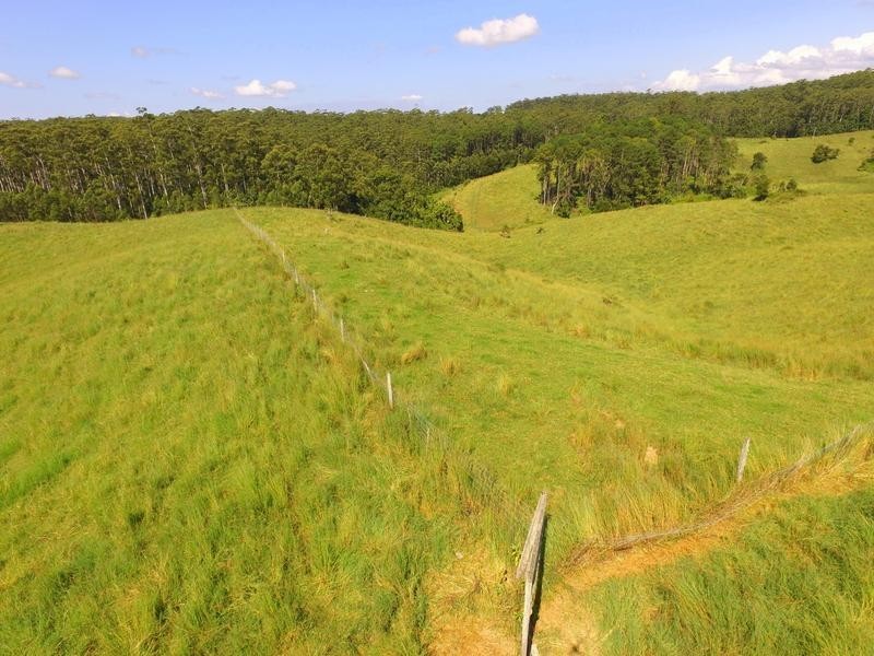 Lot 2 Willett Road, Bellthorpe QLD 4514