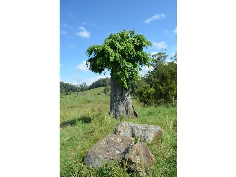 Lot 2 Willett Road, Bellthorpe QLD 4514