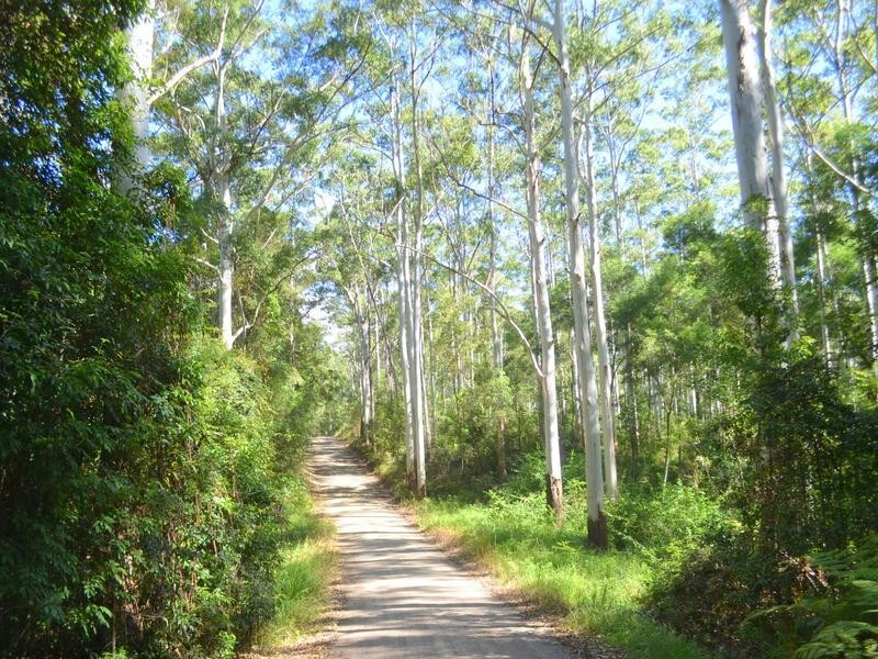 Lot 2 Willett Road, Bellthorpe QLD 4514