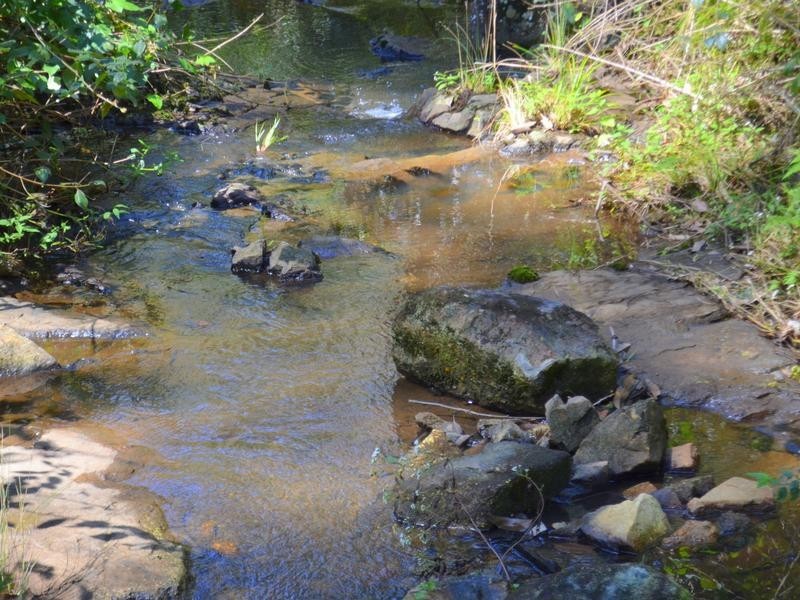 Lot 2 Willett Road, Bellthorpe QLD 4514