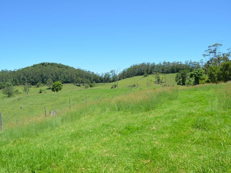 Lot 2 Willett Road, Bellthorpe QLD 4514