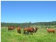 Lot 2 Willett Road, Bellthorpe QLD 4514