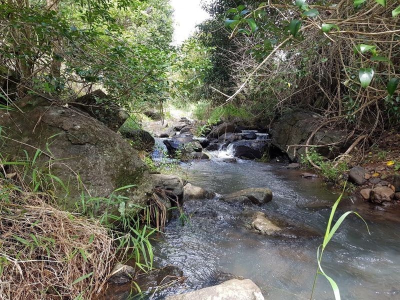 2 Main Street, Montville QLD 4560