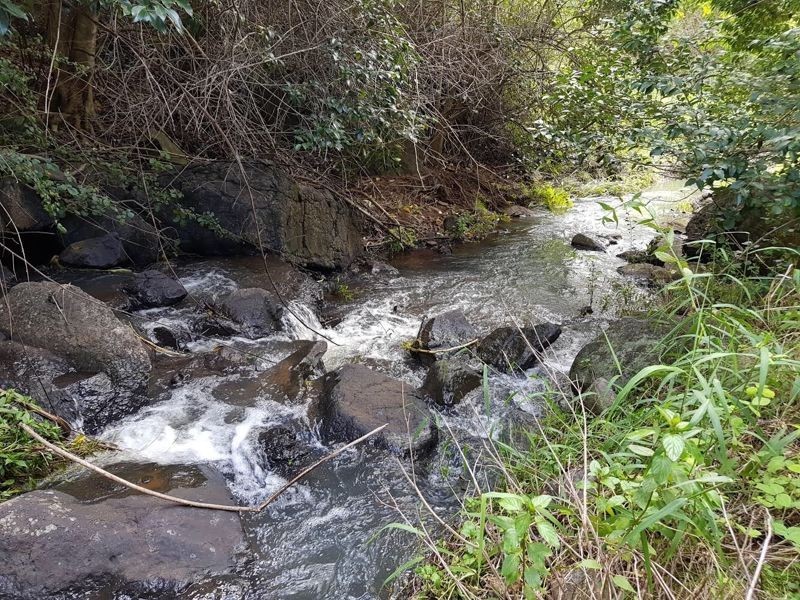 2 Main Street, Montville QLD 4560