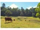 Lot 7 Gardners Lane, North Maleny QLD 4552