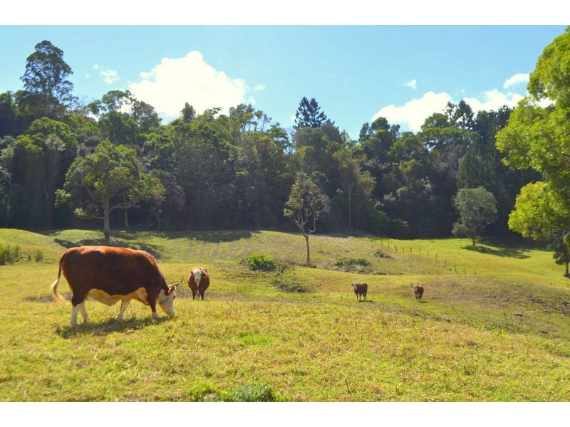 Lot 7 Gardners Lane, North Maleny QLD 4552