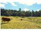 Lot 7 Gardners Lane, North Maleny QLD 4552