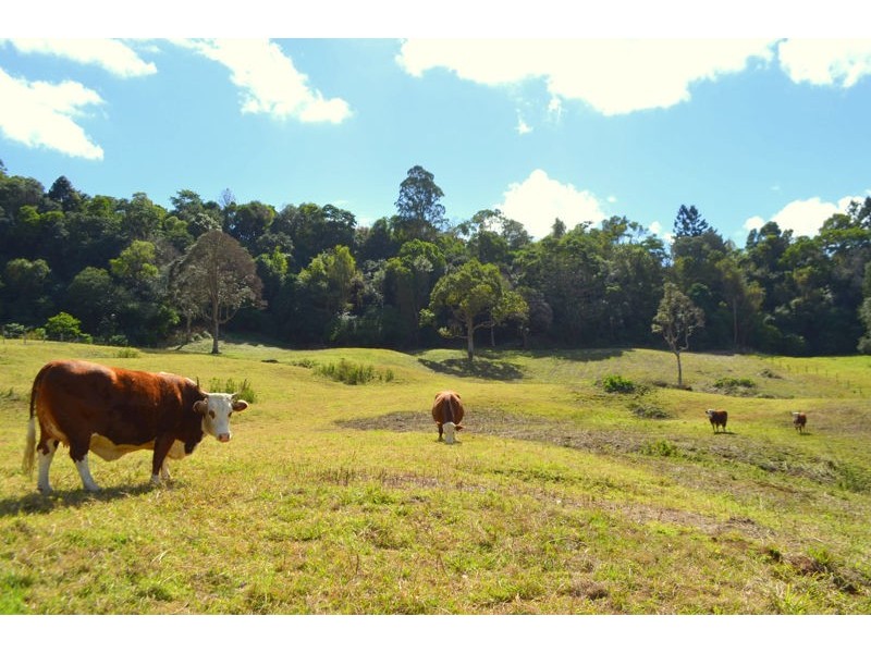 Lot 7 Gardners Lane, North Maleny QLD 4552