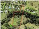 Lot 7 Gardners Lane, North Maleny QLD 4552