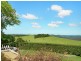 659 Maleny Stanley River Road, Wootha QLD 4552