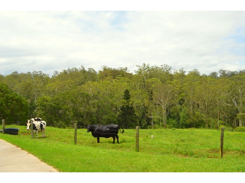 141 Ansell Road, Witta QLD 4552