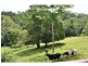 141 Ansell Road, Witta QLD 4552